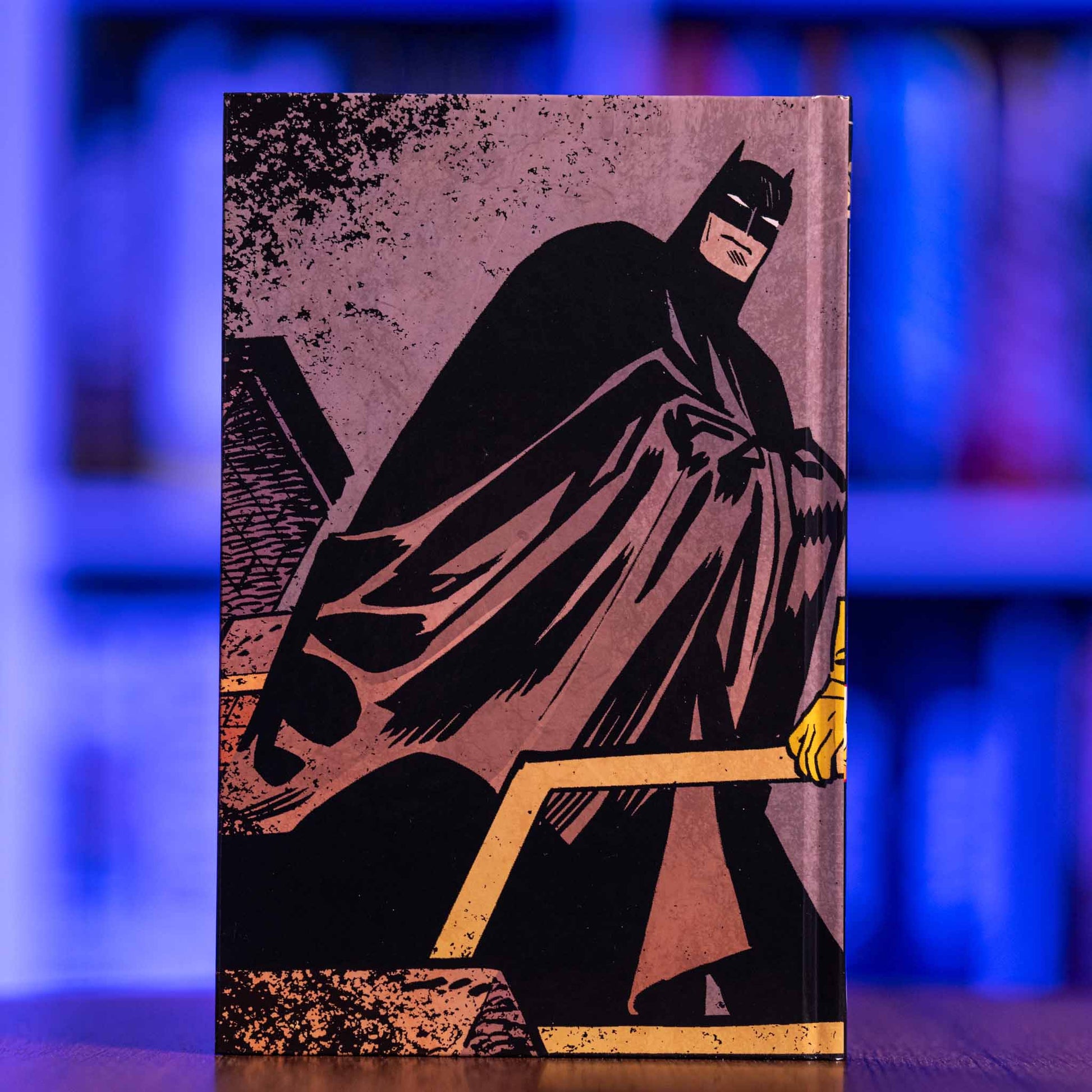 BATMAN & ROBIN: YEAR ONE