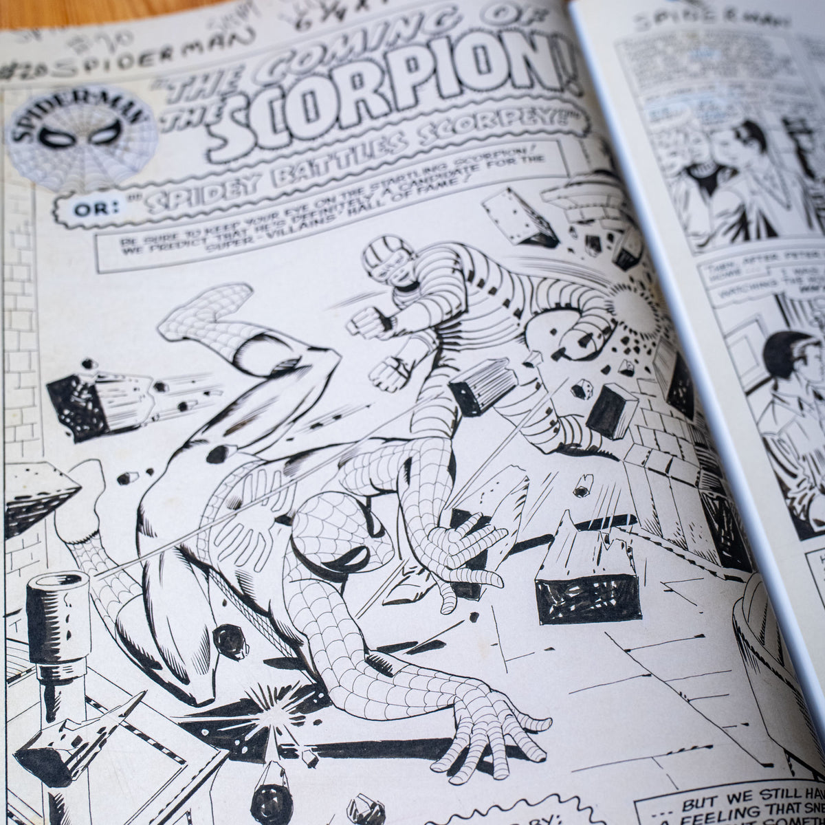 AMAZING SPIDER MAN BY STEVE DITKO ARTISTS EDITION