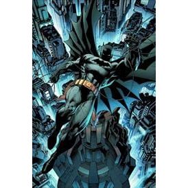 ABSOLUTE BATMAN & ROBIN THE BOY WONDER
