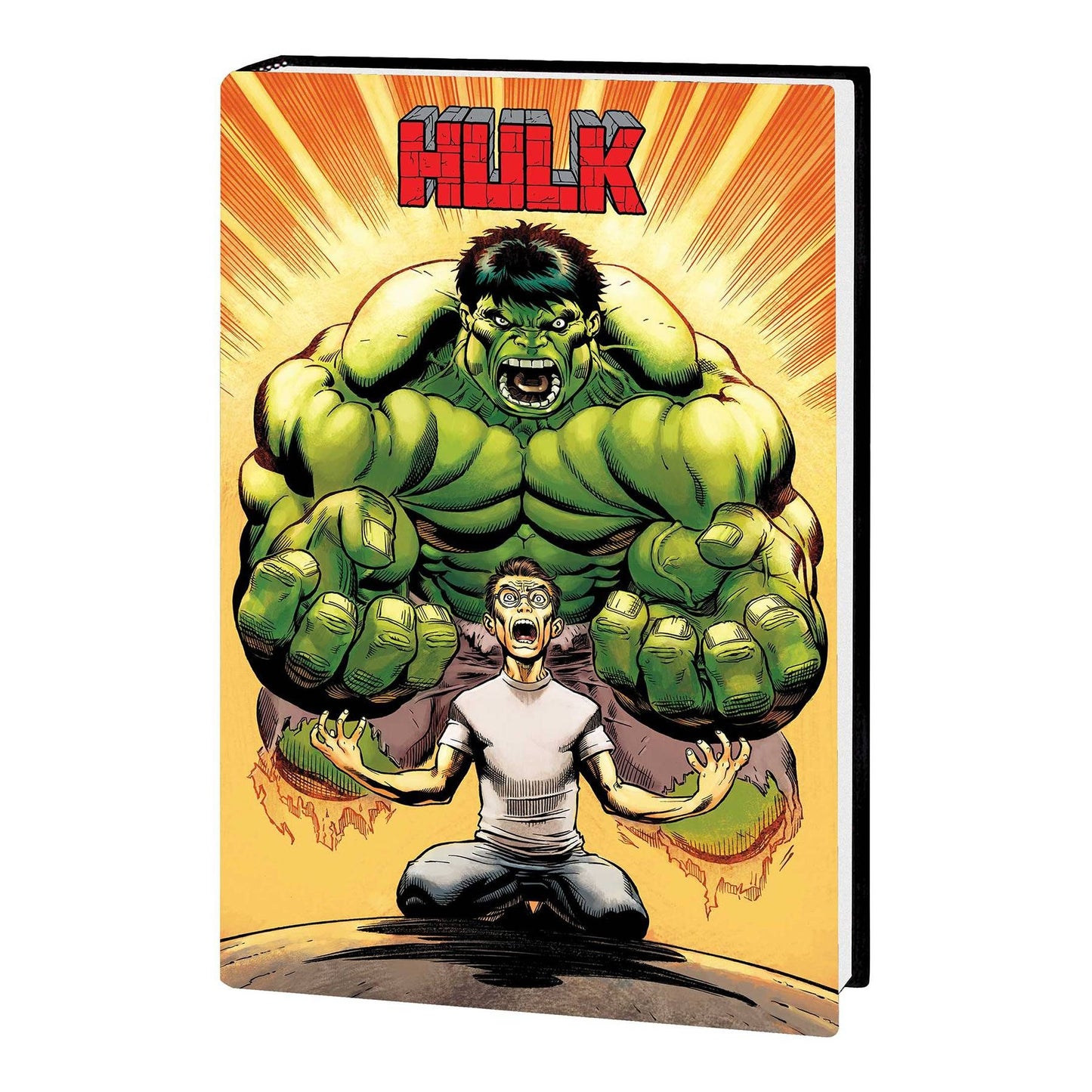 HULK BY LOEB & MCGUINNESS OMNIBUS HC